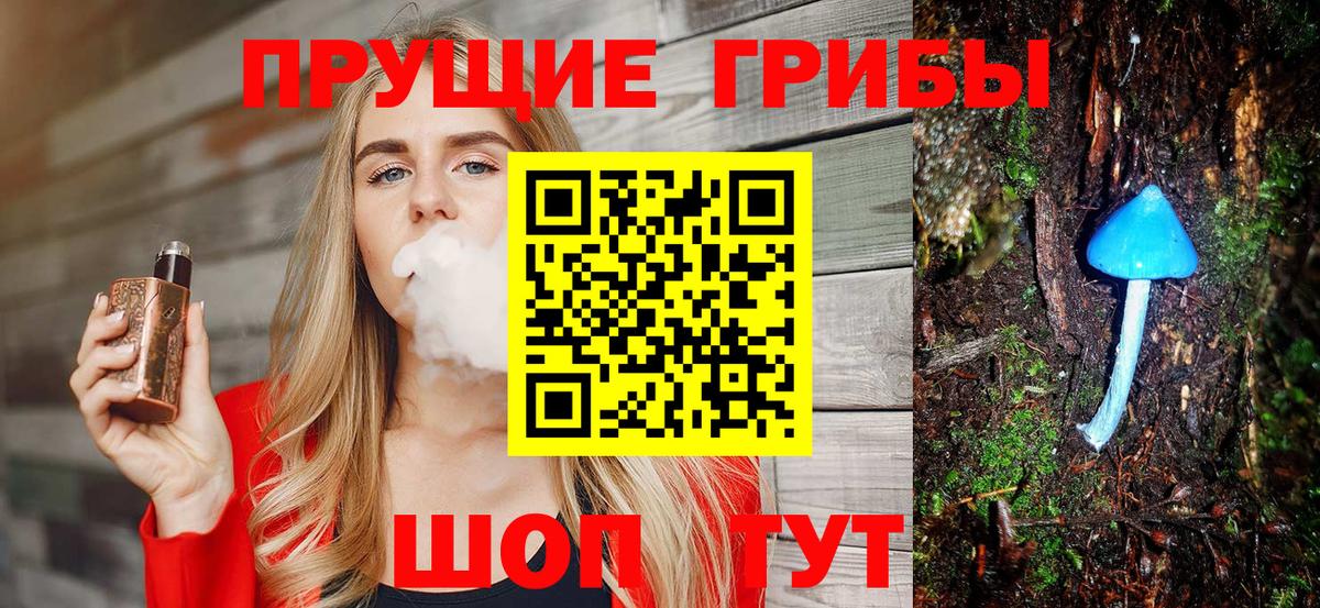 Галлюциногенные грибы Psilocybine cubensis Шелехов